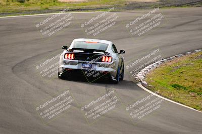 media/Feb-25-2024-Speed Ventures (Sun) [[b9a2a97a4d]]/Mustang Drivers Club/Session 1 (Turns 4 and 5)/